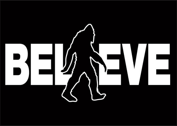 signs 4 fun Sasquatch Believe Magnet