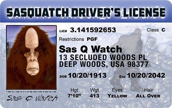 signs 4 fun Sasquatch Driver ID