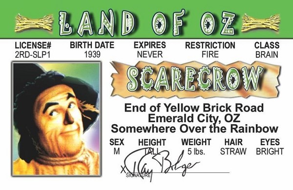 signs 4 fun Scarecrow of Oz ID