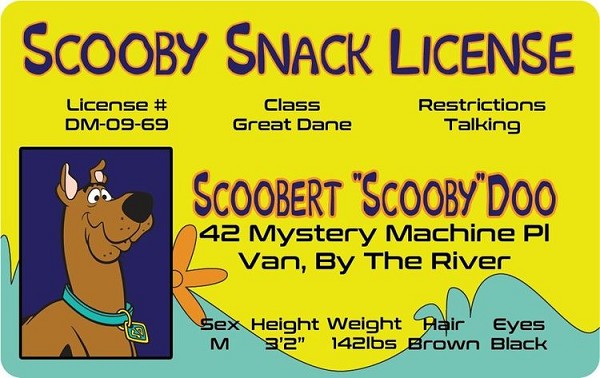 signs 4 fun Scooby Do ID