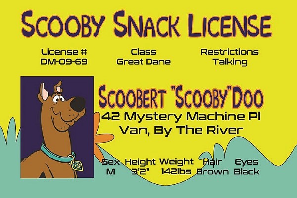 signs 4 fun Scooby Doo Magnet