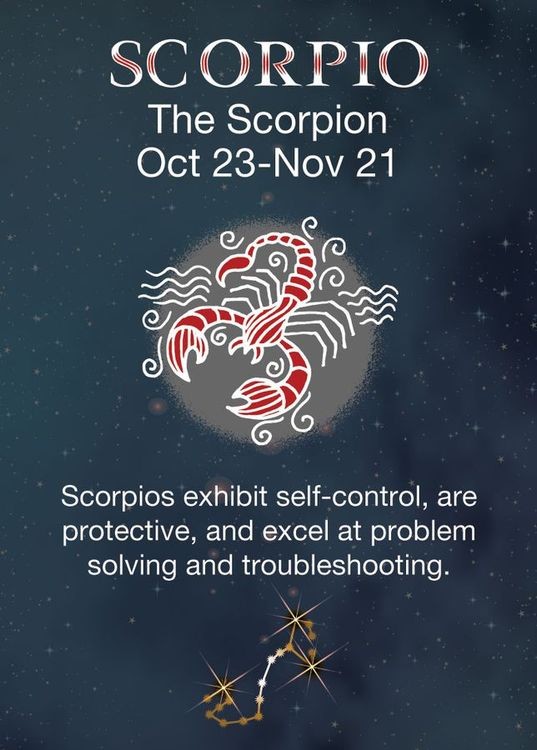 signs 4 fun Scorpio Zodiac Magnet