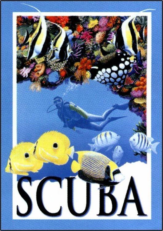 signs 4 fun Scuba Metal Sign