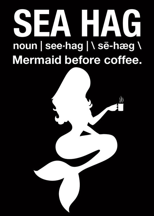 signs 4 fun Sea Hag Magnet