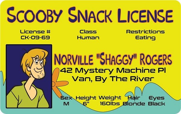 signs 4 fun Shaggy ID