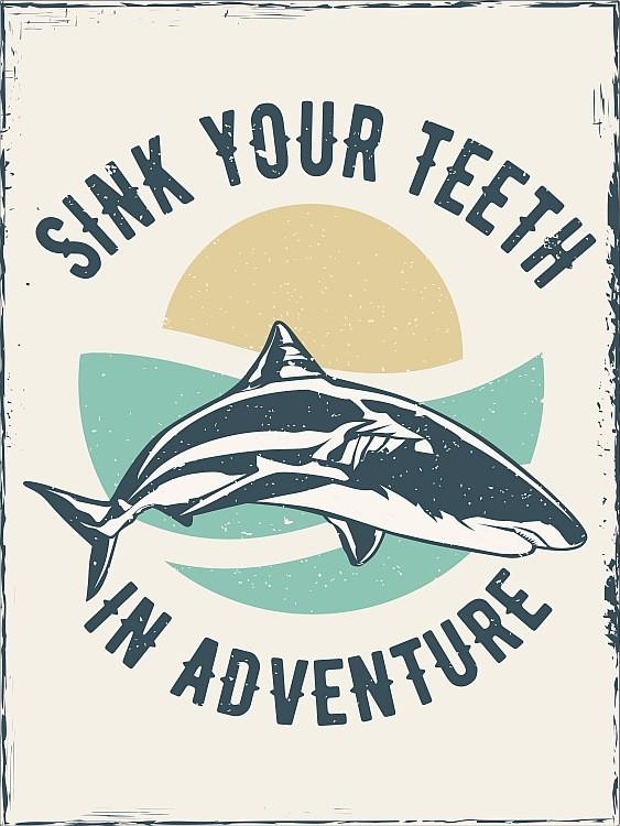 signs 4 fun Shark Teeth Adventure Magnet