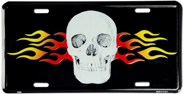 signs 4 fun Skull & Flames License Plate
