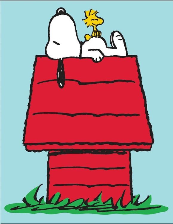 signs 4 fun Snoopy and Woodstock Metal Tin Sign