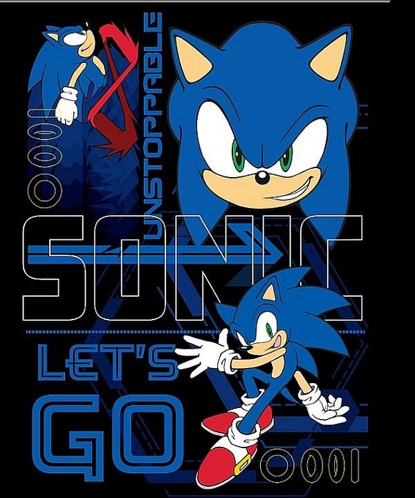 signs 4 fun Sonic-Let's Go Metal Sign