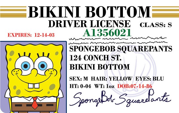 signs 4 fun Spongebob Driver License ID