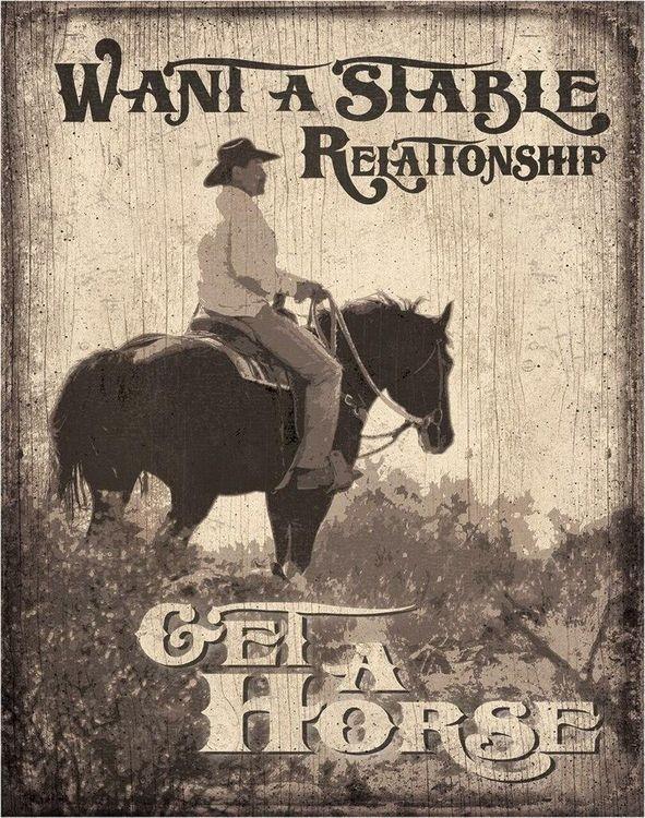signs 4 fun Stable Relationships Metal Tin Sign