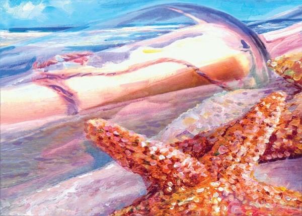 signs 4 fun Starfish Magnet