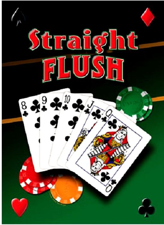 signs 4 fun Straight Flush Metal Sign