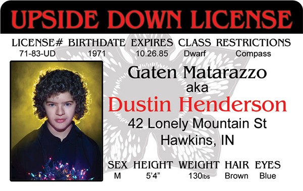 signs 4 fun Stranger Dustin ID