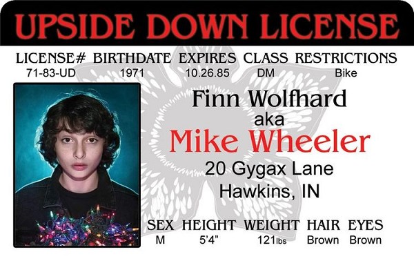 signs 4 fun Stranger Mike ID