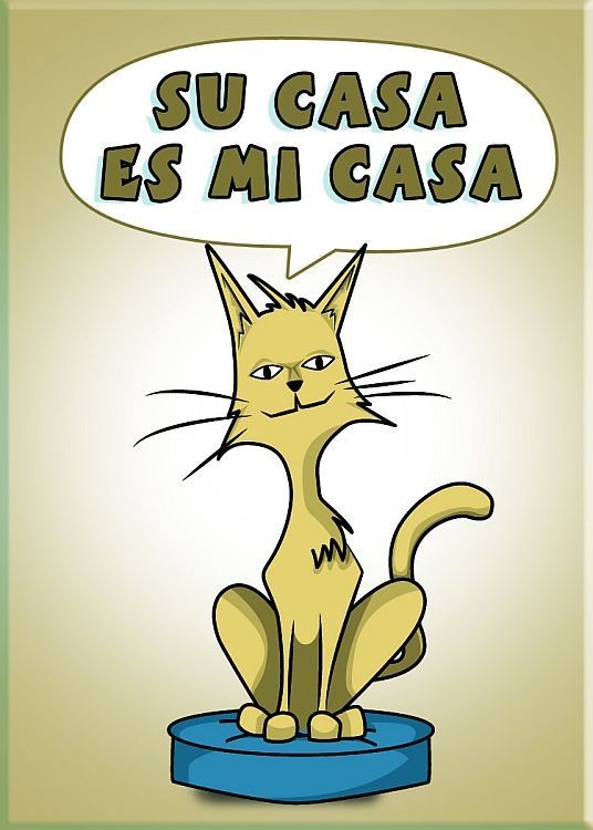 signs 4 fun Su Casa Magnet