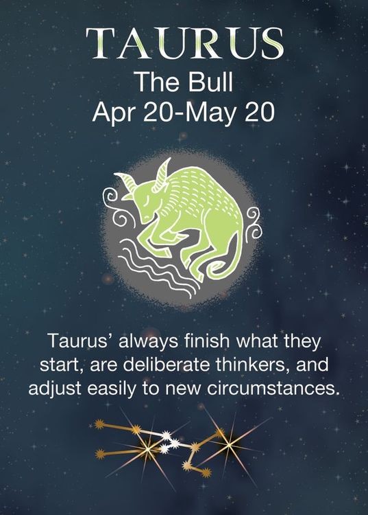 signs 4 fun Taurus Zodiac Magnet