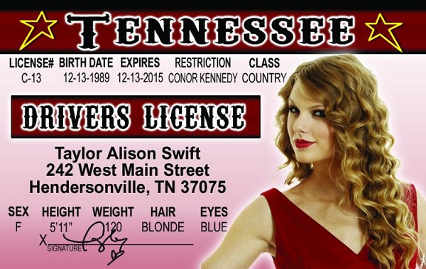 signs 4 fun Taylor S ID