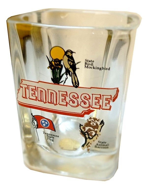 signs 4 fun Tennessee Square Shot Glass