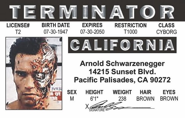 signs 4 fun Terminator ID