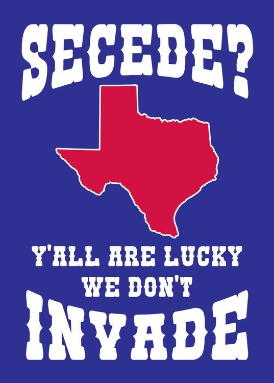 signs 4 fun Texas Secede Magnet