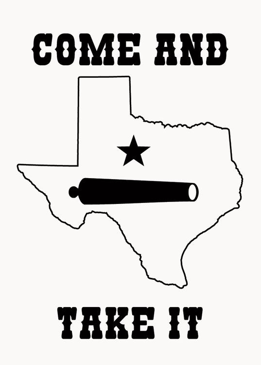 signs 4 fun Texas Take It Magnet