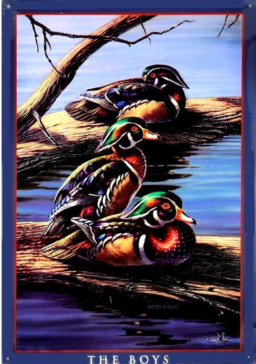 signs 4 fun The Boys - Meger - Ducks Metal Sign