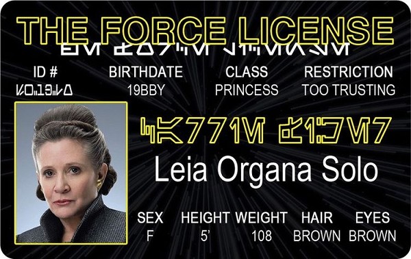 signs 4 fun The Force - Leia ID