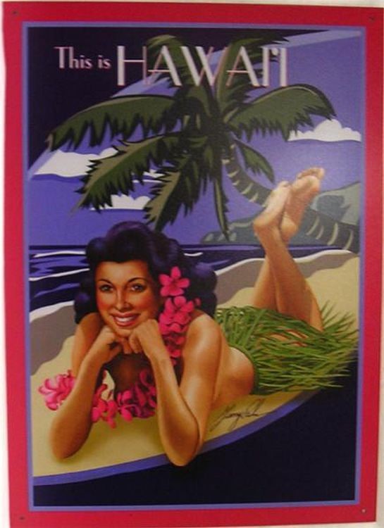 signs 4 fun This is Hawaii Metal Sign