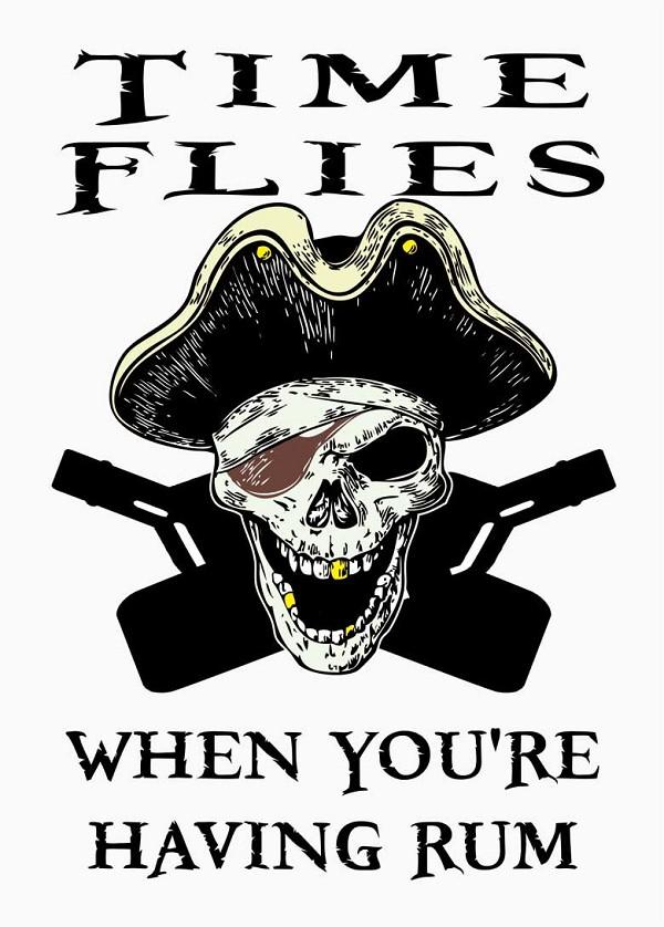 signs 4 fun Time Flies Magnet