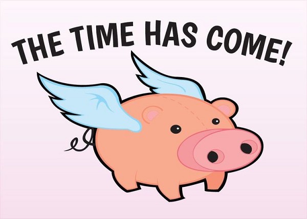 signs 4 fun Time Has Come Magnet