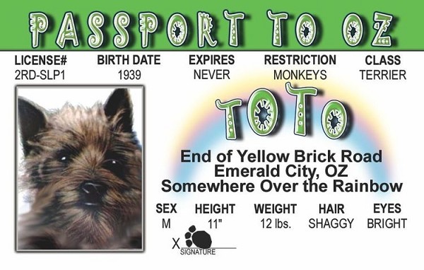 signs 4 fun Toto of Oz ID
