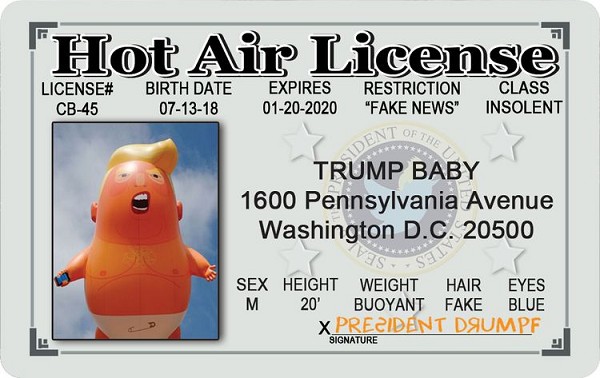 signs 4 fun Trump Baby Permit