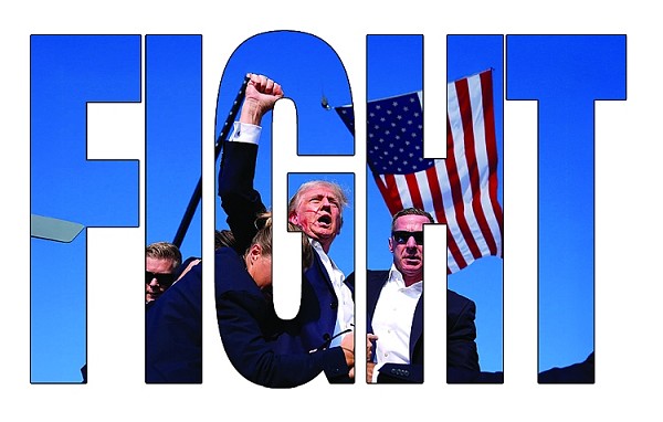 signs 4 fun Trump Fight ID