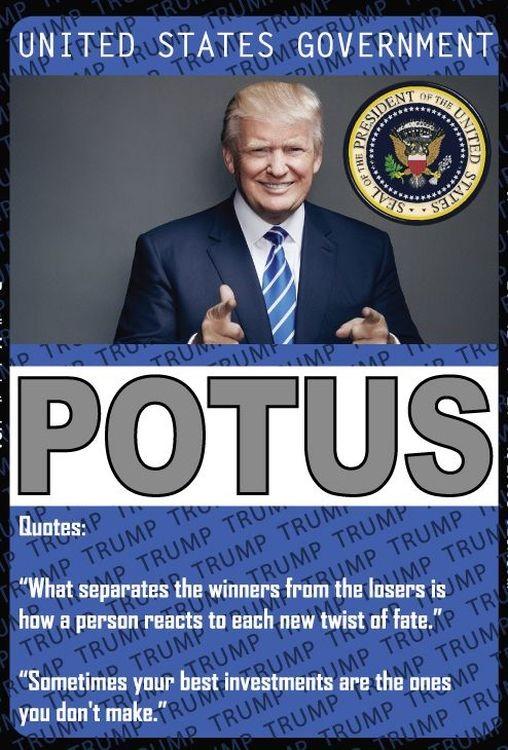 signs 4 fun Trump POTUS Pass Magnet