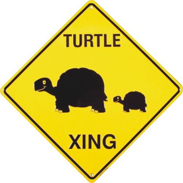 signs 4 fun Turtle Crossing Sign