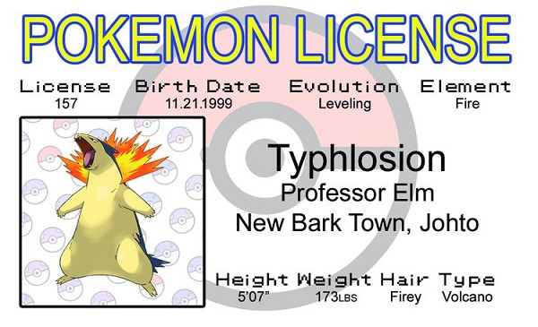 signs 4 fun Typhlosion ID