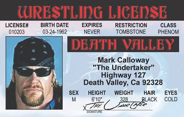 signs 4 fun Undertaker ID