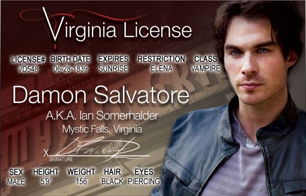 signs 4 fun Vampire Diaries Damon ID