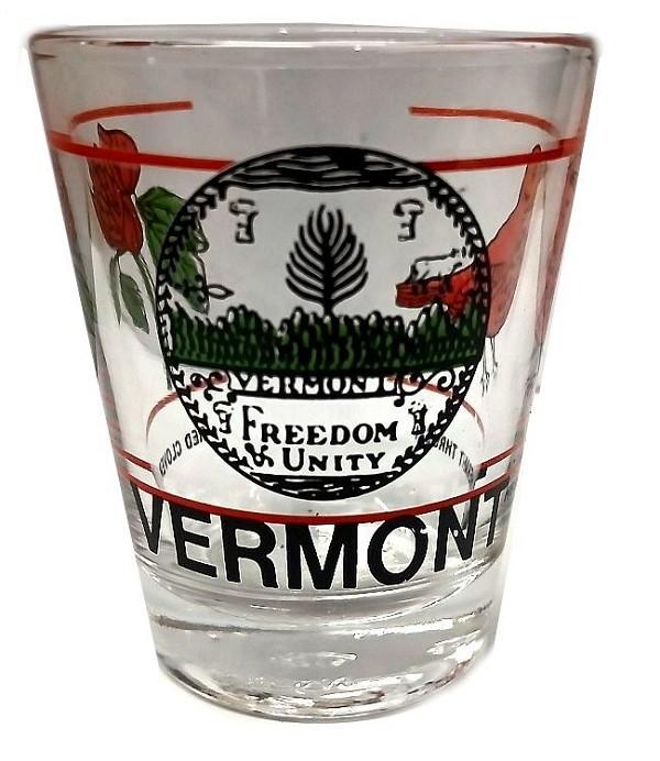 signs 4 fun Vermont Shot Glass