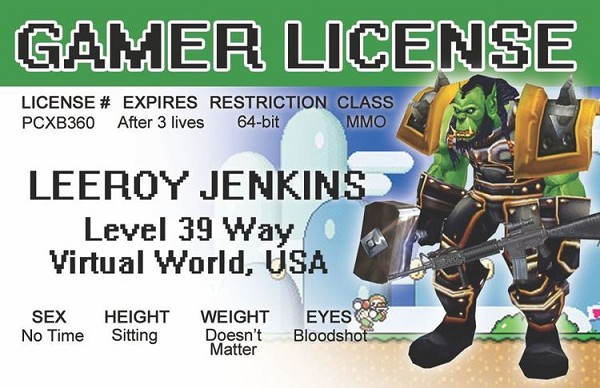 signs 4 fun Video Gamer License