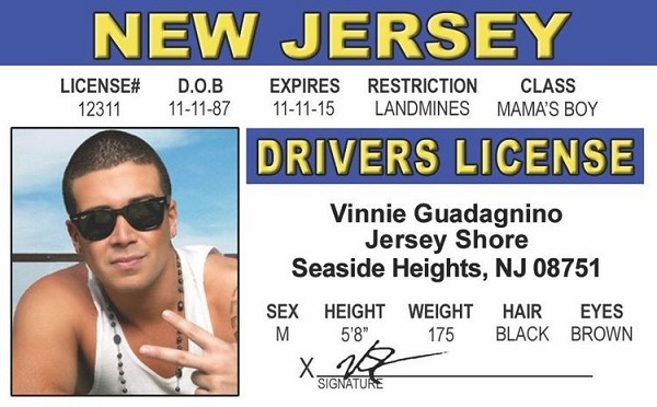 signs 4 fun Vinnie B ID