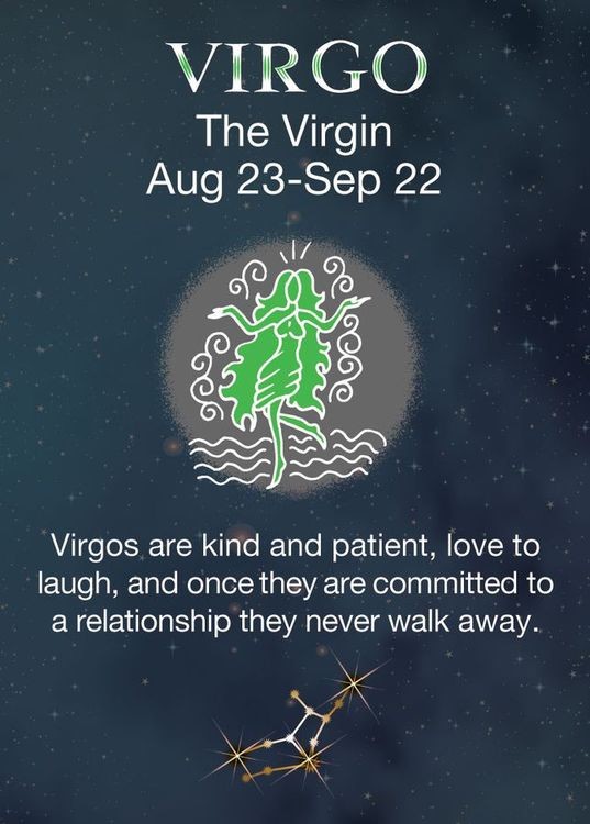 signs 4 fun Virgo Zodiac Magnet