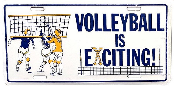 signs 4 fun Volleyball License Plate