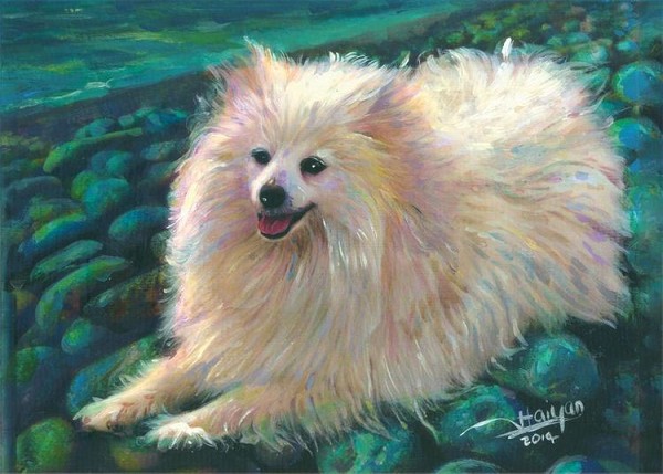 signs 4 fun Volpino Italiano Magnet