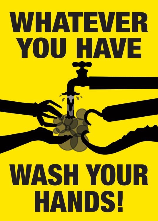 signs 4 fun Wash Your Hands