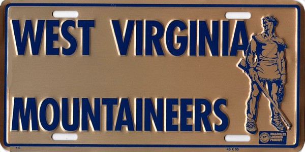 signs 4 fun West Virginia License Plate