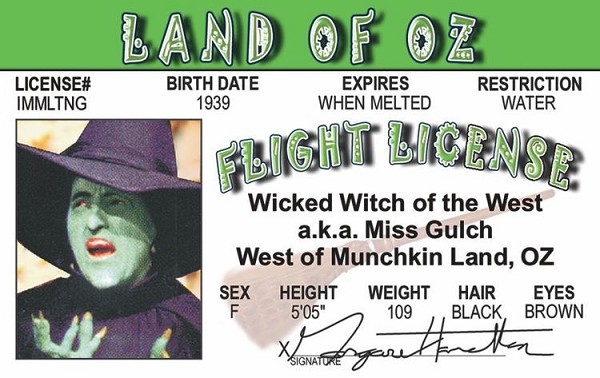 signs 4 fun Wicked Witch of Oz ID