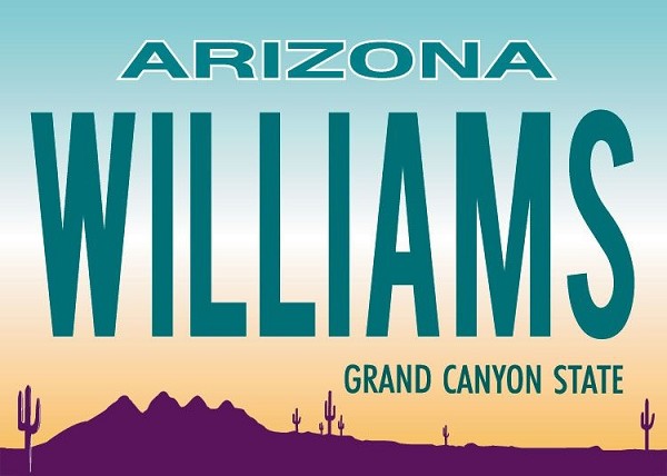 signs 4 fun Williams License Plate