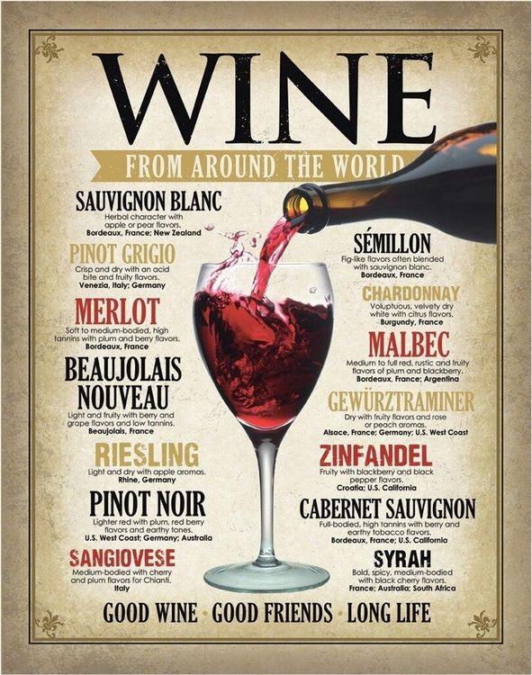 signs 4 fun Wine Around the World Metal Sign